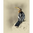 thumbnail image 2 of Brown, Jim 20x24 White Modern Wood Framed Museum Art Print Titled - Anhinga, 2 of 4