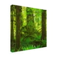 thumbnail image 2 of Trademark Fine Art 'Rainforest Square' Canvas Art by Jason Matias, 2 of 3