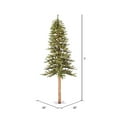 thumbnail image 4 of Vickerman 5' x 28" Natural Alpine Artificial Christmas Tree, Warm White LED Lights., 4 of 8