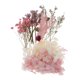 thumbnail image 2 of Flor de Hojas Reales Secas Naturales para Velas Aromáticas, Jabón, Tarjetas de Bricolaje, álbum de Recortes - A, 20g UNA Sunnimix flores de hojas secas naturales, 2 of 8