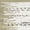 Ivory/Olive, variant on SAFAVIEH Montauk Tennyson Braided Border Cotton Area Rug, Ivory/Red, 5' x 8'