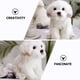 thumbnail image 2 of Animales de peluche Juguete de peluche Perro de peluche Adorable Perro de peluche Precioso juguete de peluche Regalo de cumpleaños para niños, 2 of 7