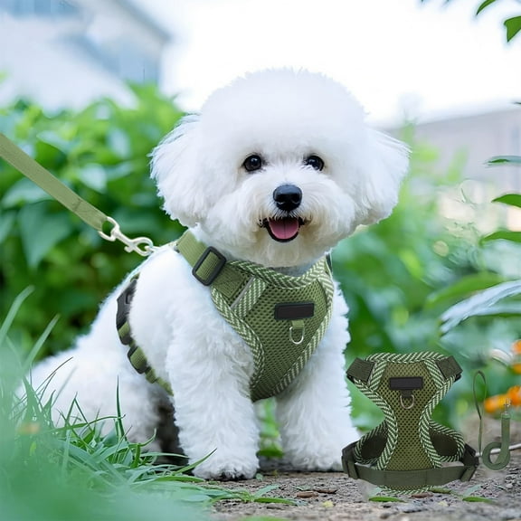 AUHomi Lightweight Dog Harness, Adjustable Durable Breathable Mesh Pet Vest Harness with Soft and Comfortable Cushion, Easy to Clean, for Small Medium Dogs, Reflective Oxford Material (Green)