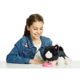 Little Live Pets Muffin My Dream Kitten, WALMART EXCLUSIVE! - Walmart.com
