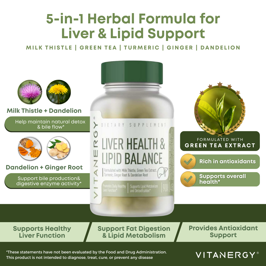 Vitanergy Liver Health & Lipid Balance – Milk Thistle, Green Tea, Turmeric, Ginger & Dandelion Root Extracts – Supports Normal Liver Function & Healthy Fat Metabolism – Made in USA, 90 Capsules