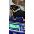 thumbnail image 4 of Peluche realista de perro husky, peluche suave, con esqueleto extraíble, decorativo, para habitaciones infantiles, decoración del coche, regalo, 4 of 8