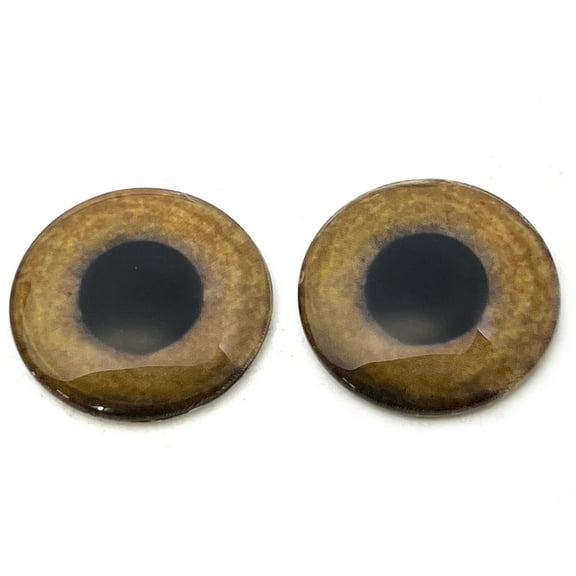 Light Brown Tropical Owl Bird Glass Eyes