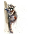 thumbnail image 2 of Shefranov, Olga 20x24 Gold Ornate Wood Framed with Double Matting Museum Art Print Titled - Raccoon II, 2 of 4