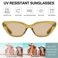 thumbnail image 4 of Lunettes de Soleil Françaises de niche Haut de Gamme, Faites de PC, 4 of 5