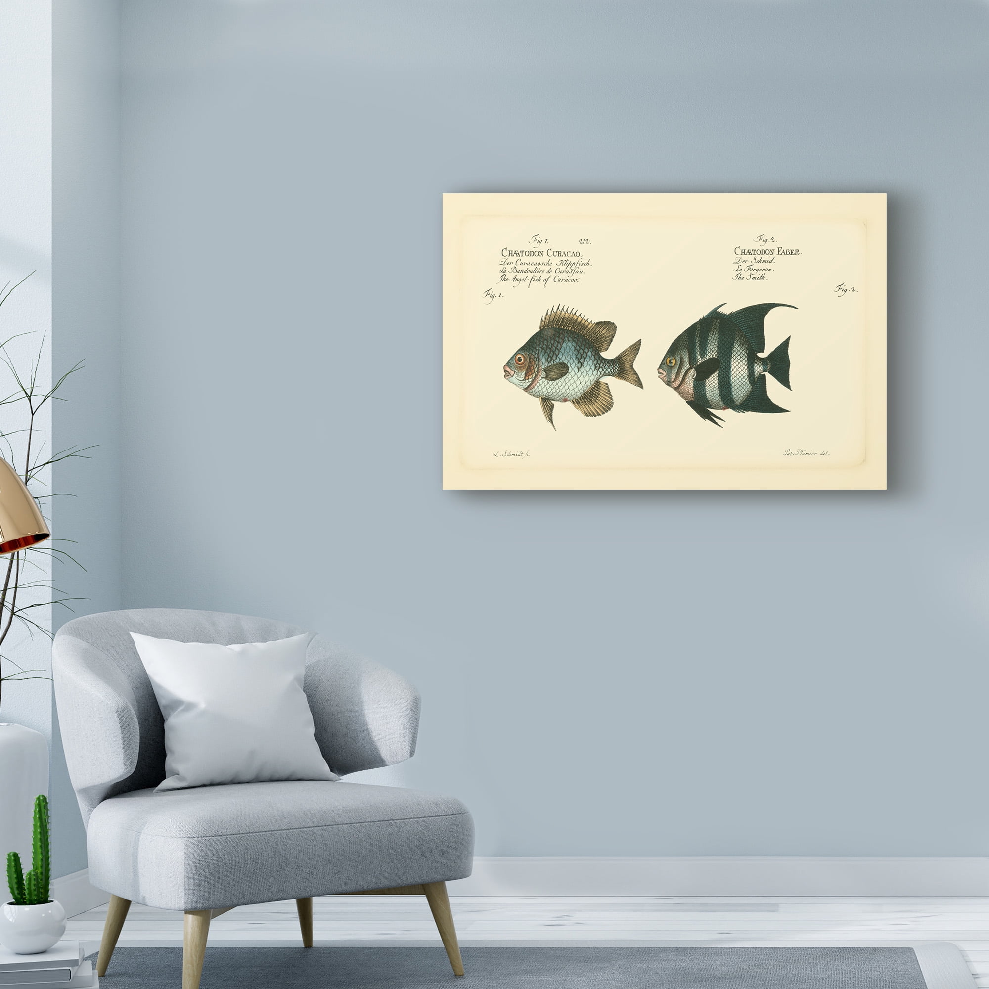Trademark Fine Art 'Bloch Antique Fish II' Canvas Art by Bloch