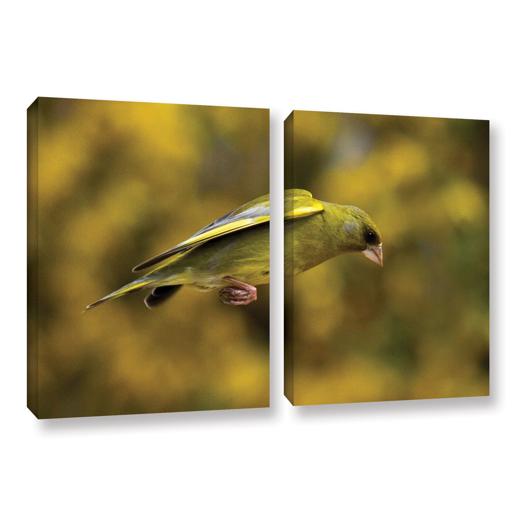 ArtWall Lindsey Janich "Finch Leapings 1" 2-Piece Gallery-Wrapped Canvas Set