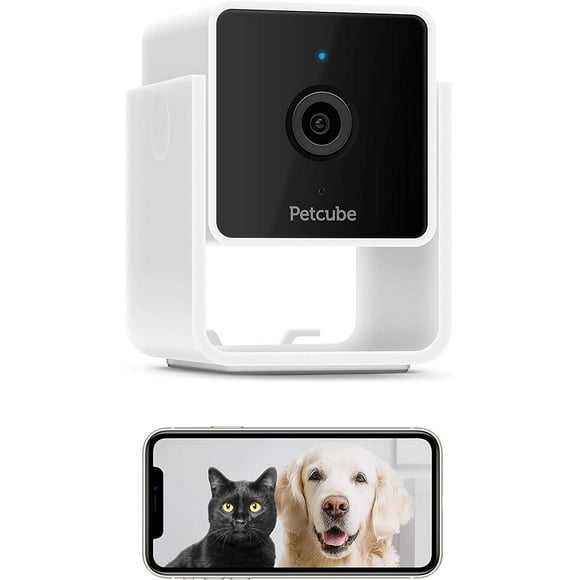 [Nuevo 2020] Petcube Cam Pet Monitoring Camera con chat vete Petcube Petcube