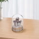 thumbnail image 5 of Racimo de flores de diente de cristal, árbol de cristal, cúpula de vidrio, base de madera, piedras de cristal de la suerte para meditación, yoga, atracción, decoración del hogar y la oficina, 5 of 7