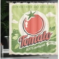 thumbnail image 3 of Ambesonne Antique Shower Curtain, Vintage Tomato Poster, 69"Wx70"L, Green Red, 3 of 4