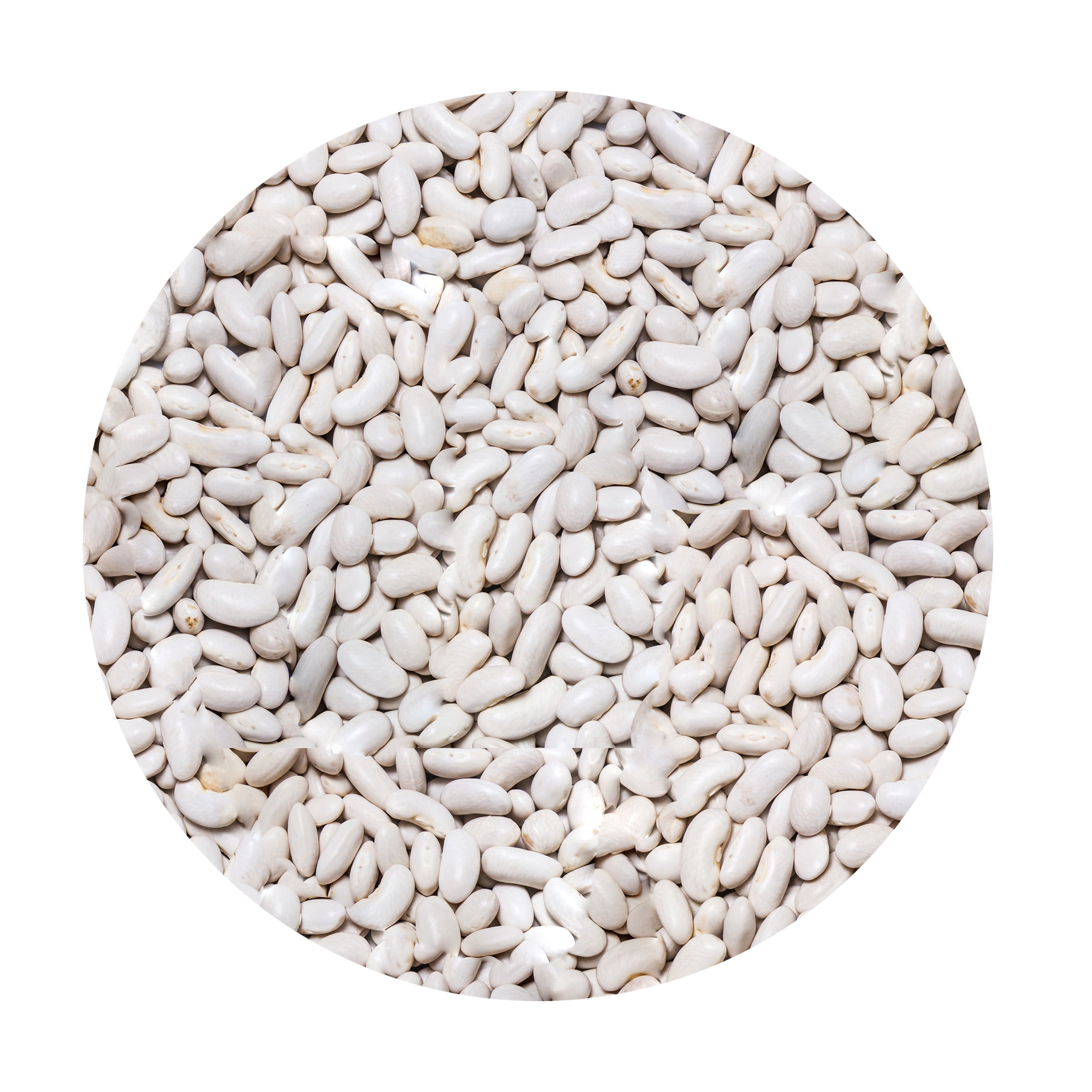 Siler's Select Great Northern Beans, 32.0 OZ
