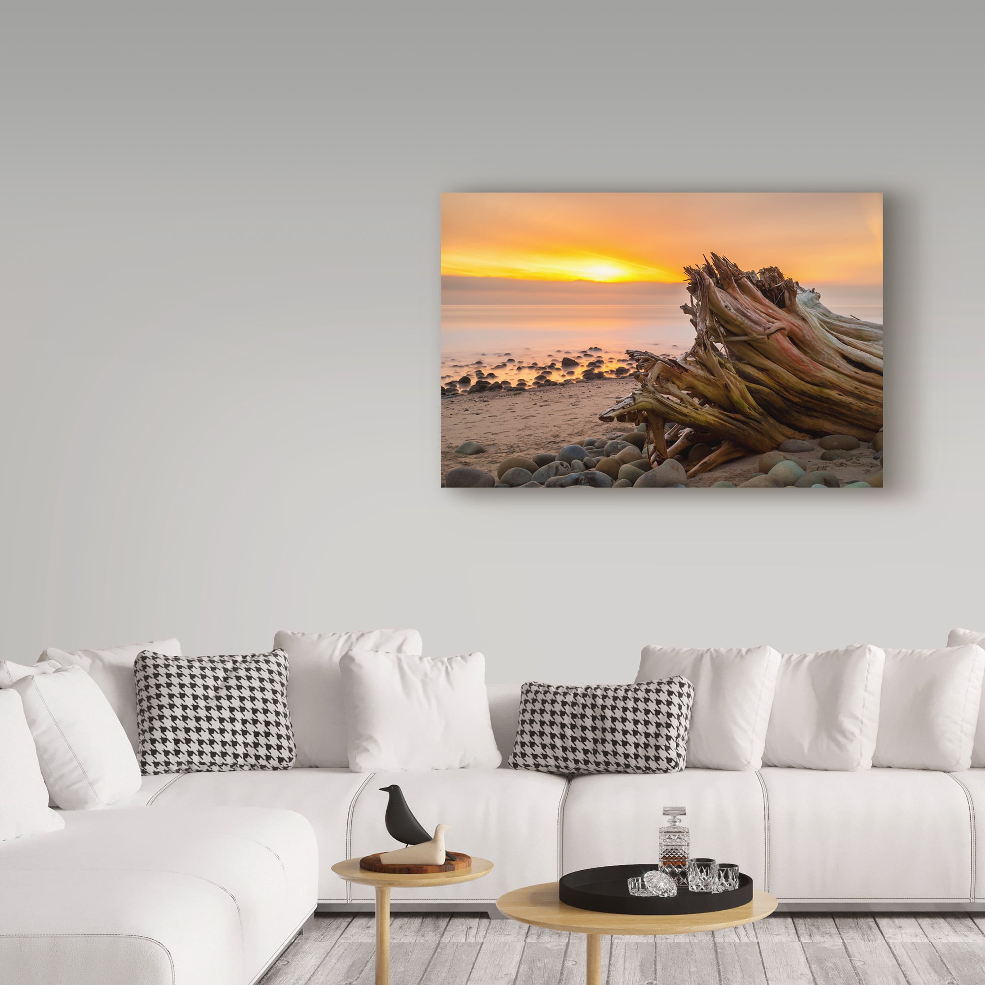 Trademark Fine Art 'Driftwood Sunset' Canvas Art by Chris Moyer