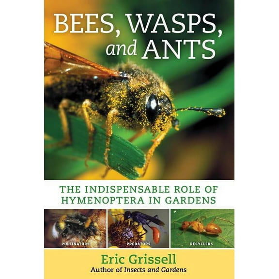 Bees, Wasps, and Ants: The Indispensable Role of Hymenoptera in Gardens, (Paperback)