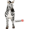 thumbnail image 2 of Schleich Wild Life Realistic Female Zebra Figurine - Authentic and Highly Detailed Wild Animal Toy - Durable Toys for Boys and Girls - Kids Ages 3+, 2 of 5