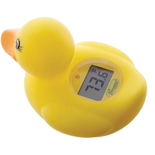 fred and flo bath and room thermometer