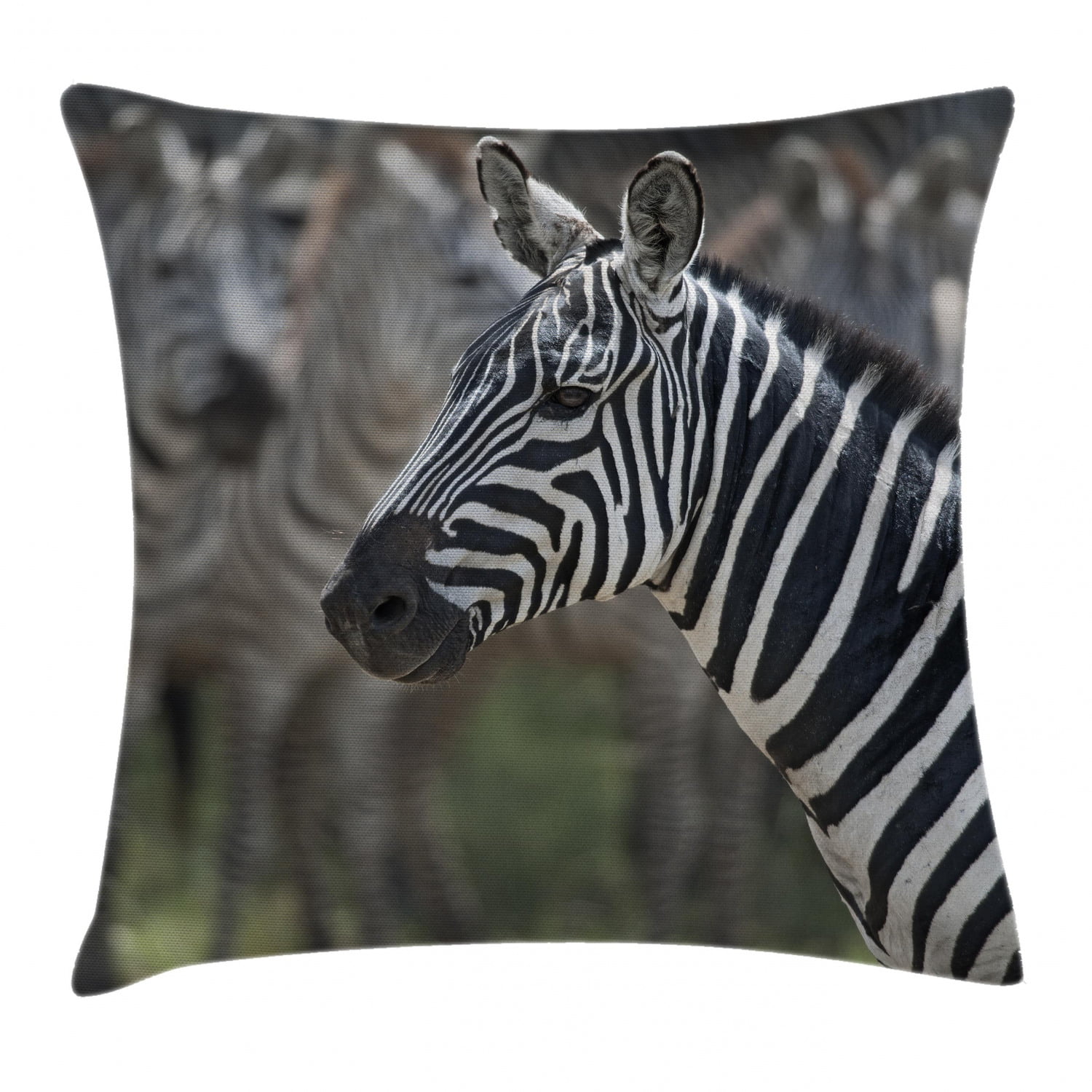 Multicolor 18x18 Africa Animal Gifts Zebra Safari Retro Africa Safari Zoo Animal Lover Zebra Throw Pillow 
