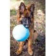 thumbnail image 5 of Jolly Pet Bounce n Play Ball, 6" Blueberry Dog Toy, 5 of 7