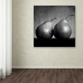 thumbnail image 4 of Trademark Fine Art "Coqueteo Peras" Canvas Art by Moises Levy, 4 of 4