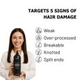 thumbnail image 2 of Avyya Nourish and Repair Shampoo for Smooth and Silky Hair, Enriched with Argan and Jojoba Oils for Frizz Control, Shine, and Scalp Health | For All Hair Types, Men and Women 33.8 Fl Oz, 2 of 8