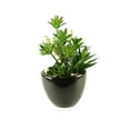 thumbnail image 2 of D&W Silks Mini Dracaena Aloe and Echeveria in Round Ceramic Planter, 2 of 3