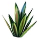 thumbnail image 2 of Xihbxyly Escultura de Planta de Tequila de Hierro, Diseño Único Artesanal, Estilo Agave con Detalles En Azul, Elegante Decoración para Jardín, Uso Interior y Exterior, 35 Cm de Altura, Arte Personali, 2 of 3