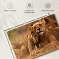 thumbnail image 6 of Elephant Stock Lioness And Cub Wall Art - Horizontal Canvas Wall Art - Living Room Wall Decor - Animal Canvas - Brown And Orange Decor - 12" x 8", 6 of 8