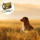 thumbnail image 3 of Arnés para perros perfecl Acolchado desmontable Caqui XL, 3 of 8