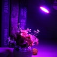 thumbnail image 2 of 220V Grow Light Bulb Red Blue E27 2835 SMD Grow Light para invernadero hidropónico Hugtrwg Para estrenar, 2 of 6