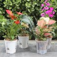 thumbnail image 4 of Self Watering Flowerpot Breathable Transparent Plastic Planter for Phalaenopsis Control Automatic Water Storage Planter Pot for Home Office, 4 of 8