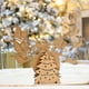 thumbnail image 3 of Vector de Papá Noel Balanceándose Adorno de Madera de Papá Noel Balanceándose, 3 of 6