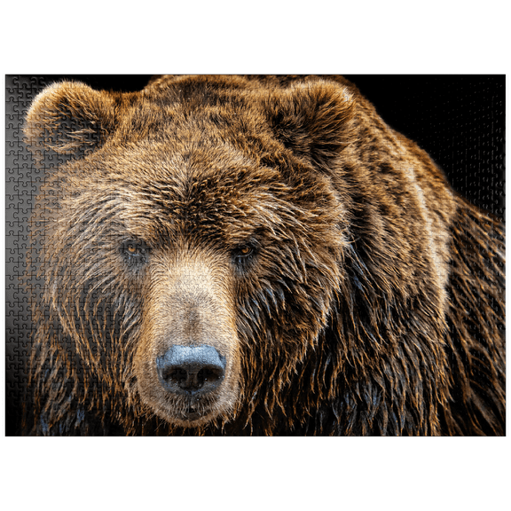 MyPuzzle - Brown Bear Ursus Arctos Beringianus - Premium 1000 Piece Jigsaw Puzzle for Adults