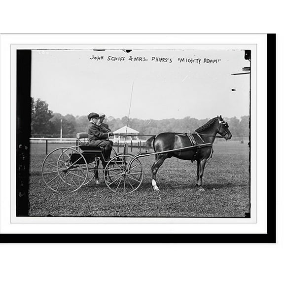 Historic Print, John Schiff & Mrs. Phipps' "Mighty Adam", 16" x 20"