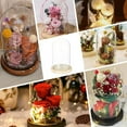 thumbnail image 6 of Glass Dome Cover 4.72x7.87 Inch Cloche Bell Jar Terrarium with Wood Base Decorative Display Dome Case for Plants Flower Christmas Display Decoration Cornsilk, 6 of 7