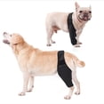 thumbnail image 2 of Dog Recovery Sleeve Front Rear Leg Support Brace For Injury Sprain Relieve Pain, 2 of 4