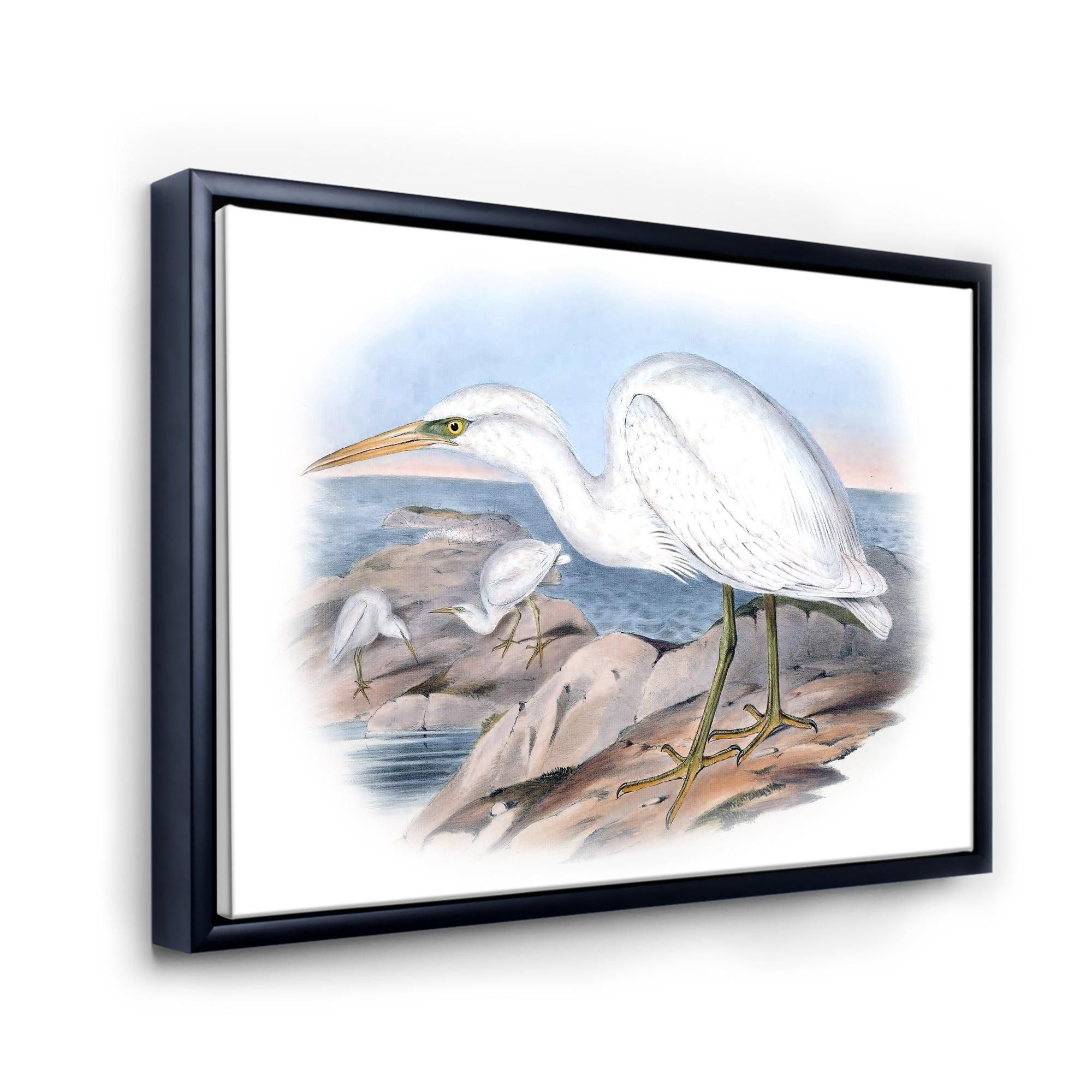 Designart 'Ancient Australian Birds XIII' Traditional Framed Canvas Wall Art Print
