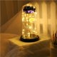 thumbnail image 3 of Yuarrent Rosa eterna LED con cúpula de cristal Flor de lámina de oro de 24 quilates y una de cuento de hadas Regalo de San Valentín Almacenamiento y organización del hogar Yuarrent HA023427-00, 3 of 6