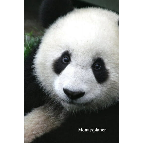 Monatsplaner (Paperback)