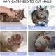 thumbnail image 4 of Rouge-Cat Cortaúñas Profesional para Cachorros y Animales Pequeños, Tijeras de Acero Inoxidable, Diseño Radian de 25 Grados, 4 of 5