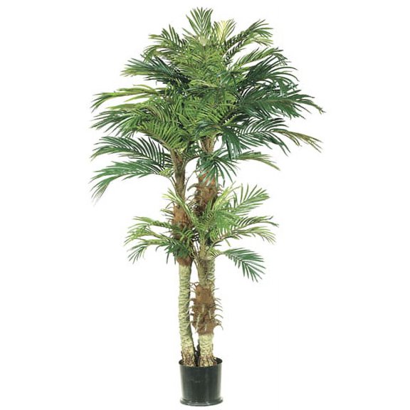 Pack of 2 Potted Artificial Silk Phoenix Palm Trees 6'