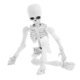 thumbnail image 1 of Figura de Caihaooo, minimodelo de juguete, esqueleto humano móvil de cuerpo completo, juguete novedoso y divertido, alfombra, 1 of 7