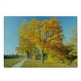 thumbnail image 2 of Fall Cutting Board, Maple Trees in the Rural Countryside Natural Landscape Tranquil View, Decorative Tempered Glass Cutting and Serving Board, Large Size, Pale Blue Yellow Green, by Ambesonne, 2 of 5