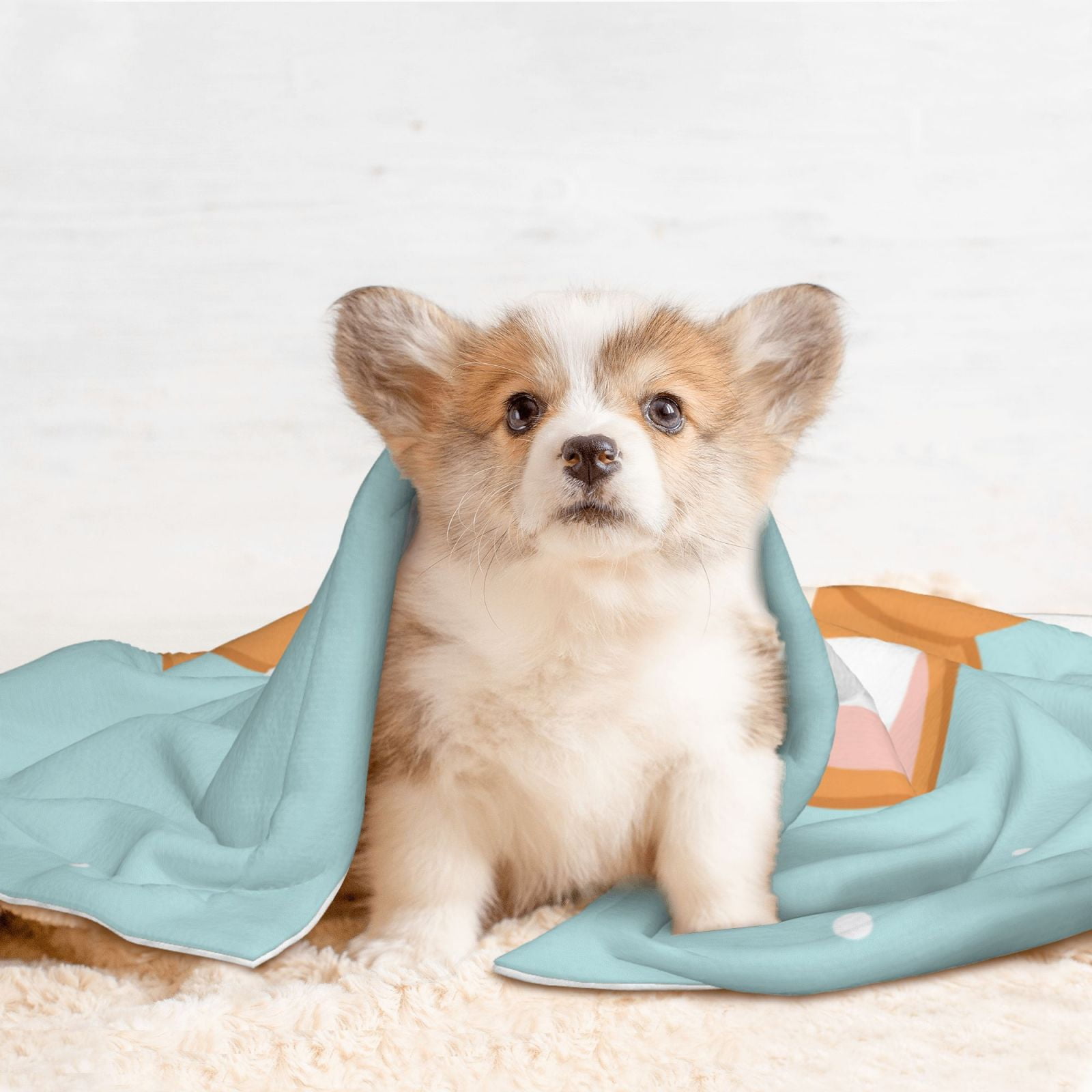 Naloa Corgi With Towel Ans Slice Cucumber Dog Blanket, 3 Sizes Cat Blanket for Indoor Cats Large Medium Small Dog Gifts-Small