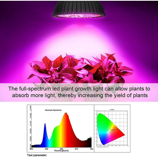Full spectrum light 2024 bulbs near me