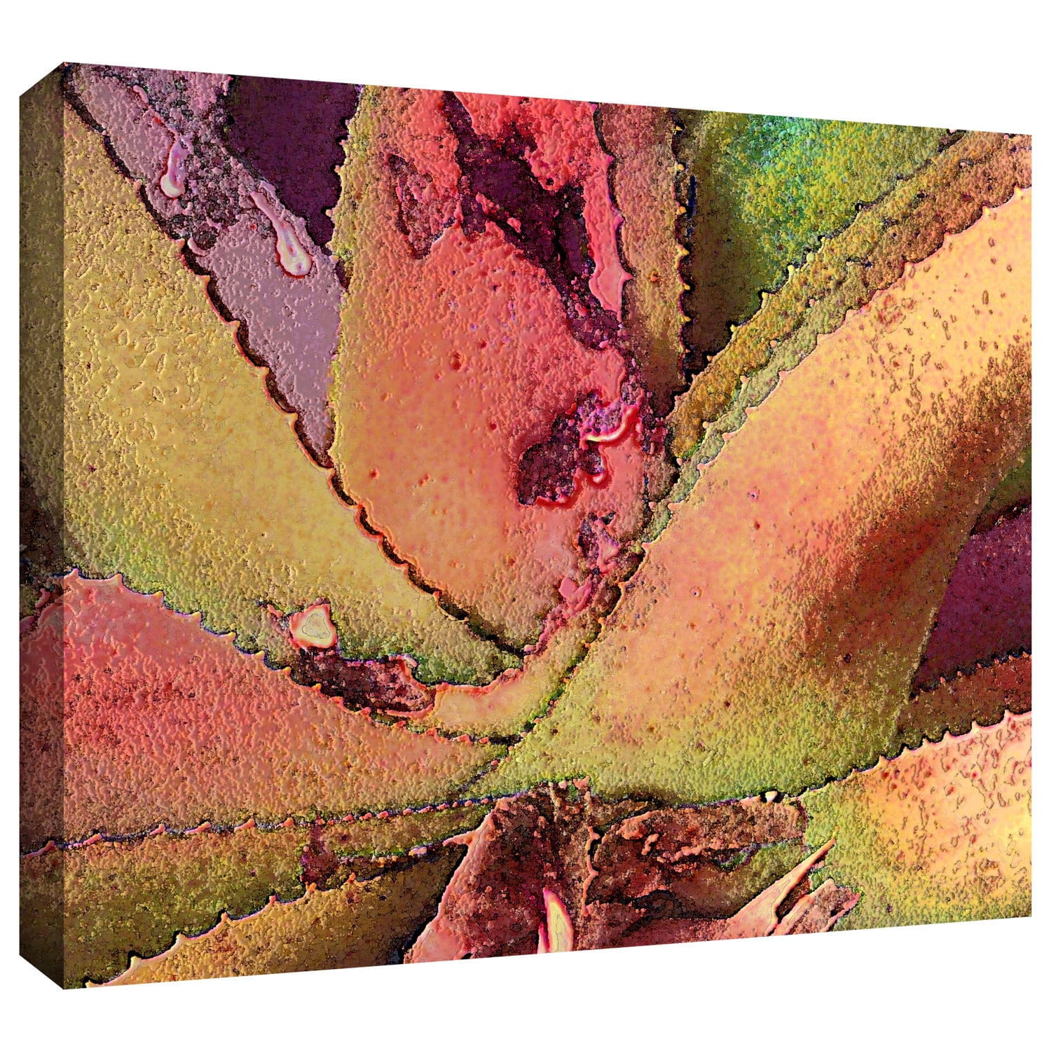 Dean Uhlinger "Texturas Suculentas" Gallery-Wrapped Canvas