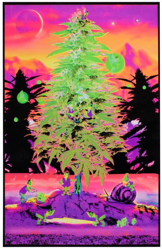 Have A Nice Trip Psychedelic Blacklight Poster - 23x35 Inch, Multi