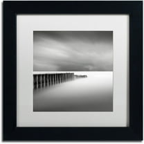 Trademark Fine Art "Stormy" Canvas Art by Dave MacVicar, White Matte, Black Frame